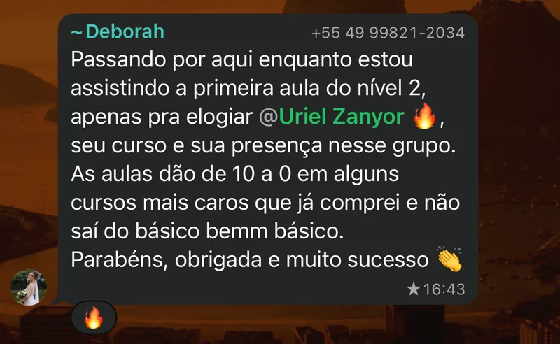 Print de Deborah elogiando as aulas do curso e a presença de Uriel no grupo.